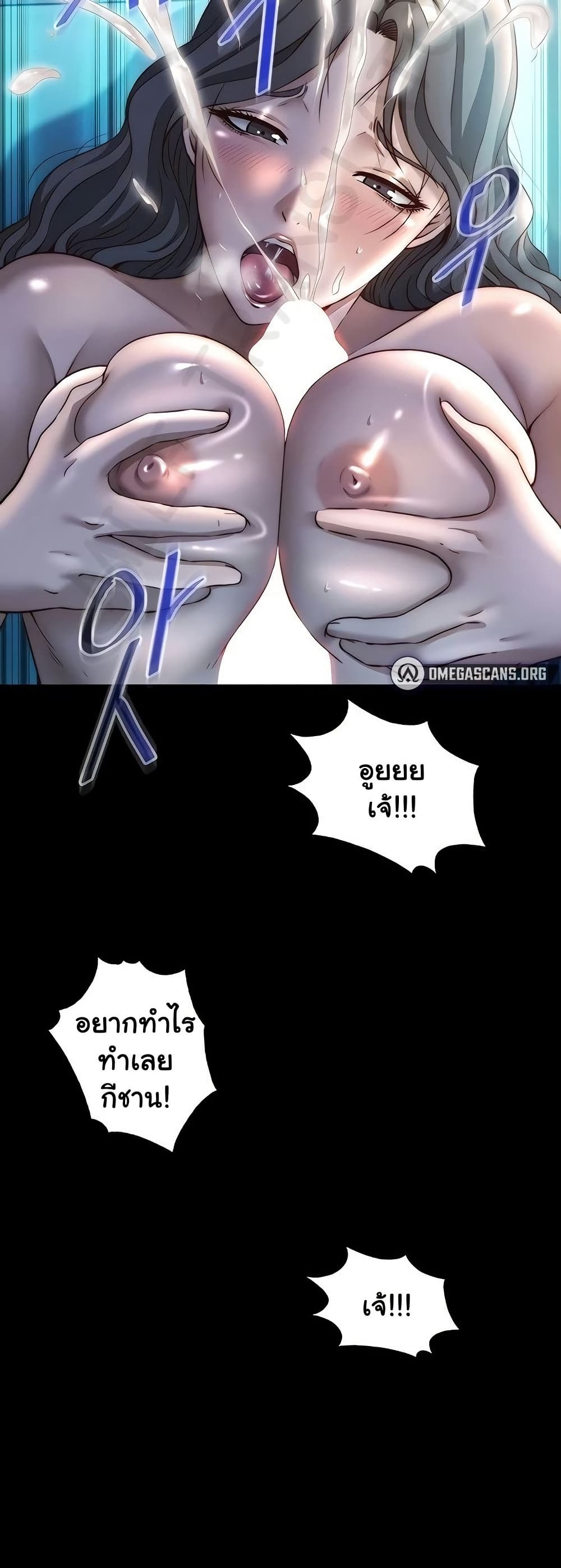 008.jpg