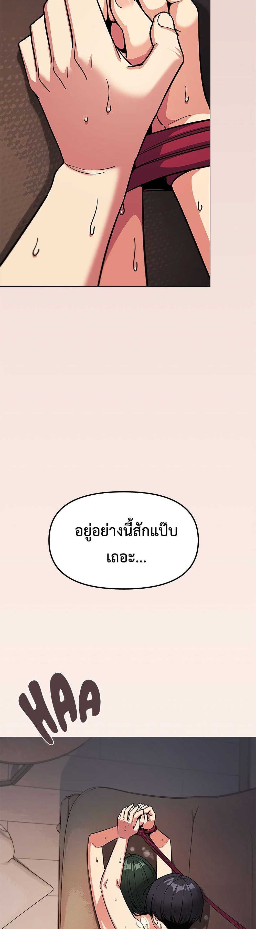 005.jpg