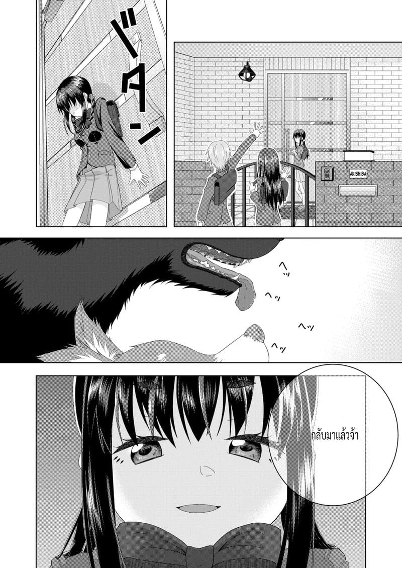 003.jpg