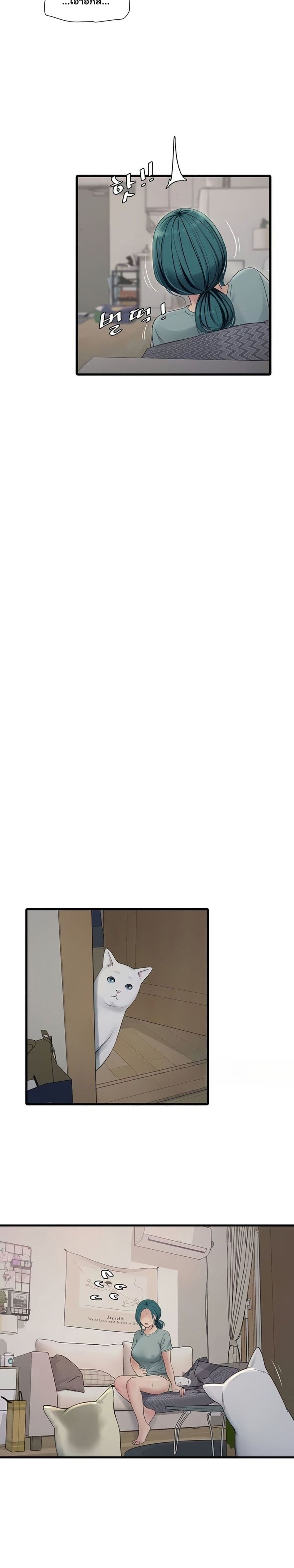 008.jpg