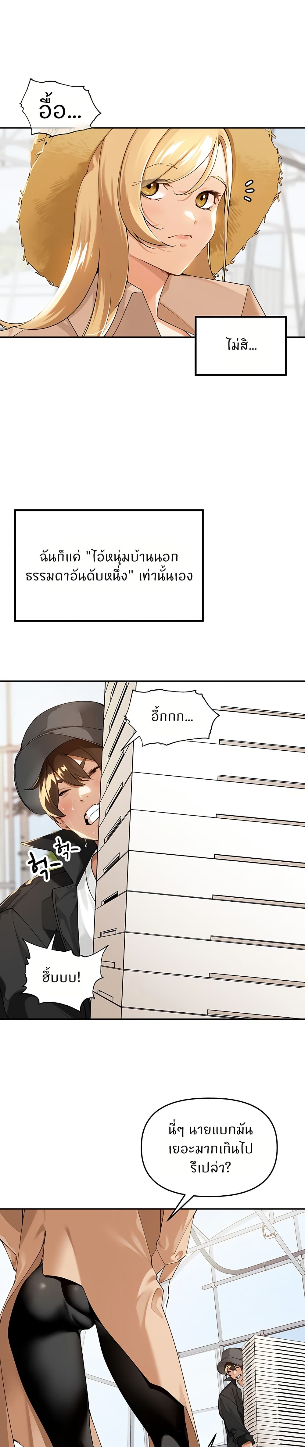 007.jpg