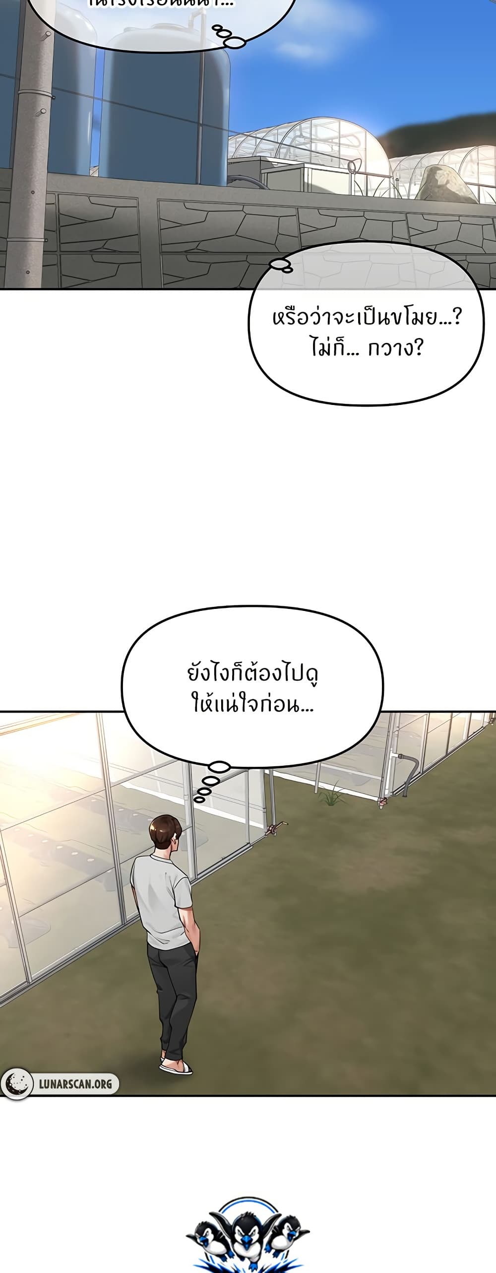 010.jpg