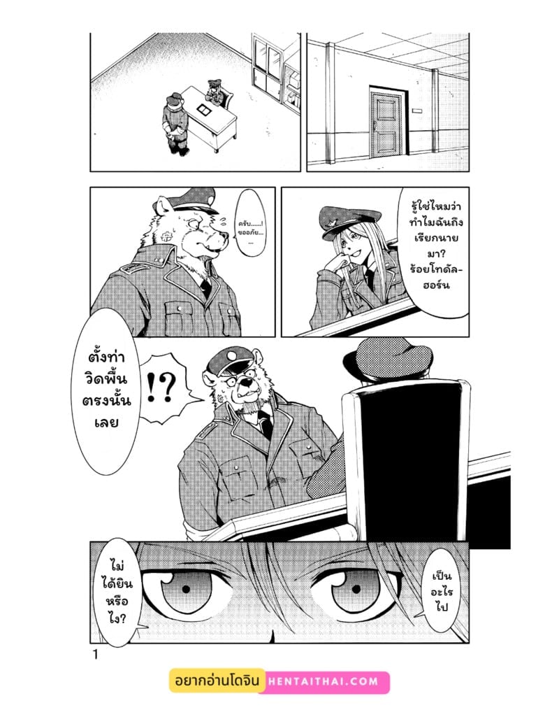 003.jpg