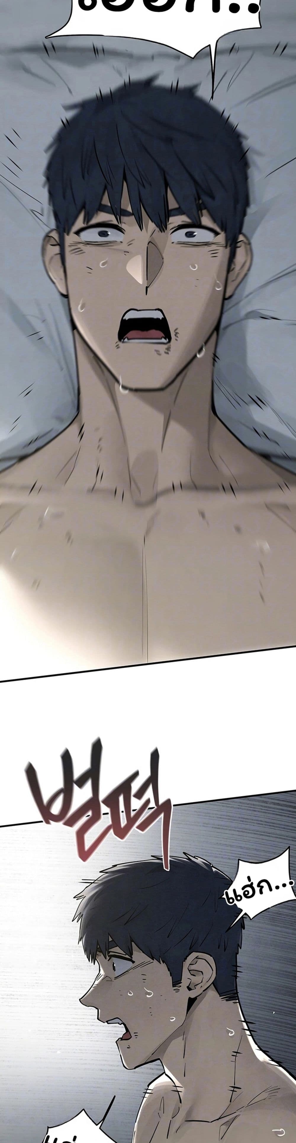 010.jpg