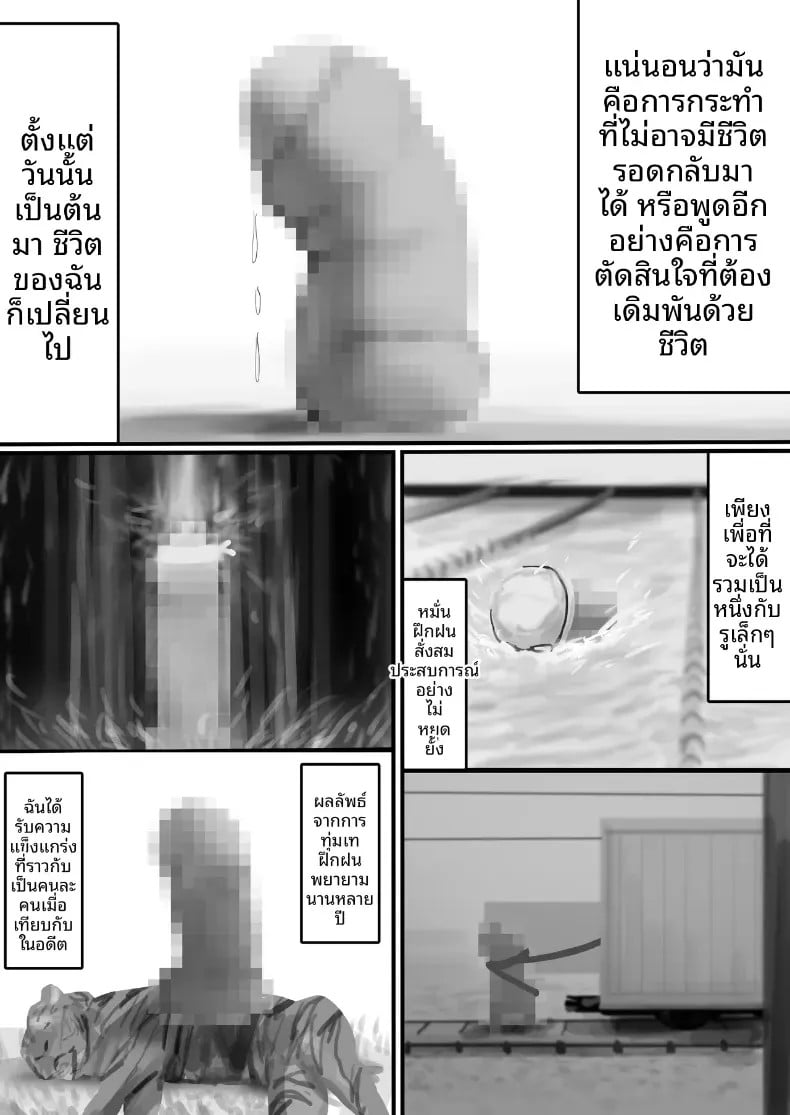 006.jpg