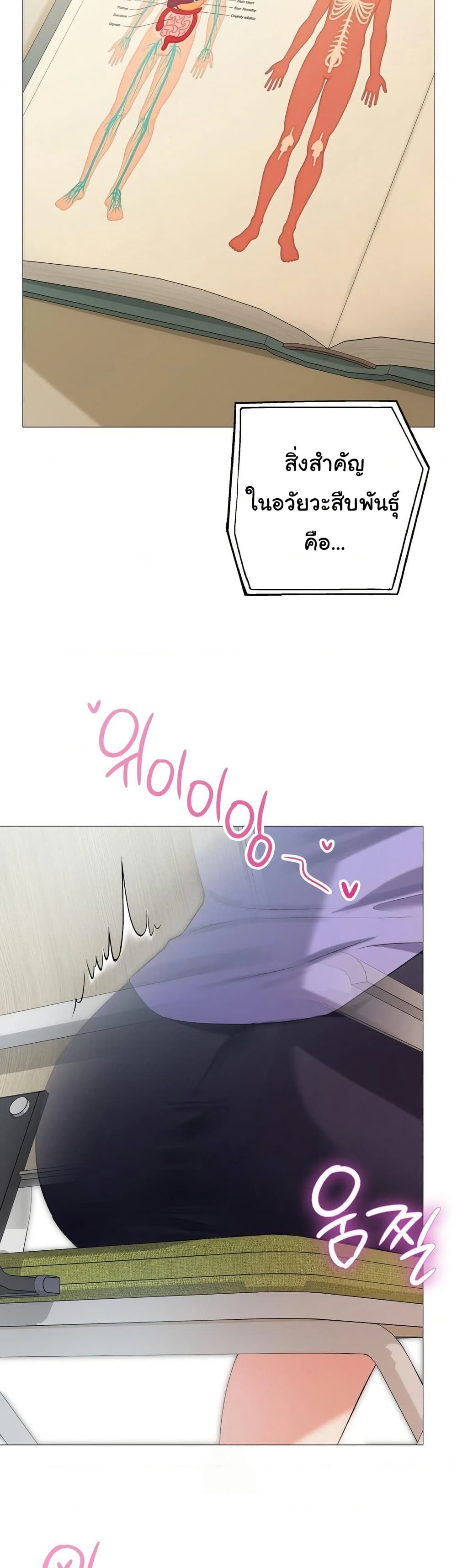 008.jpg