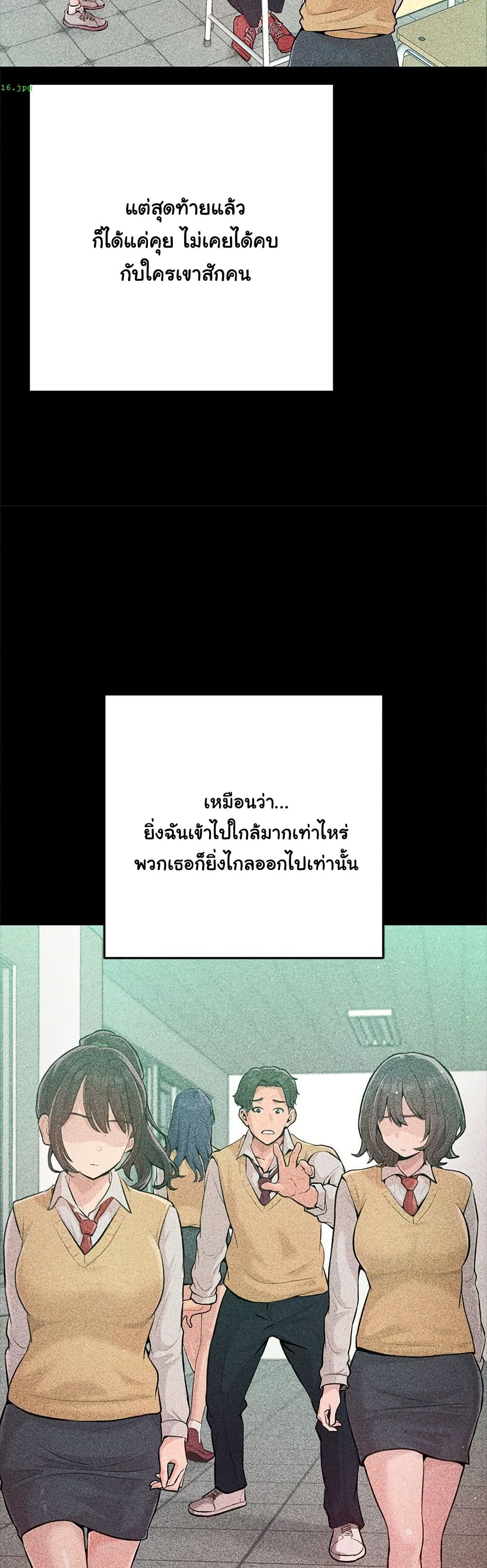 036.jpg