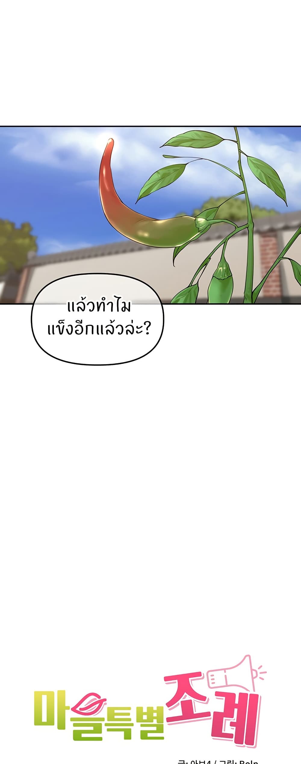 009.jpg