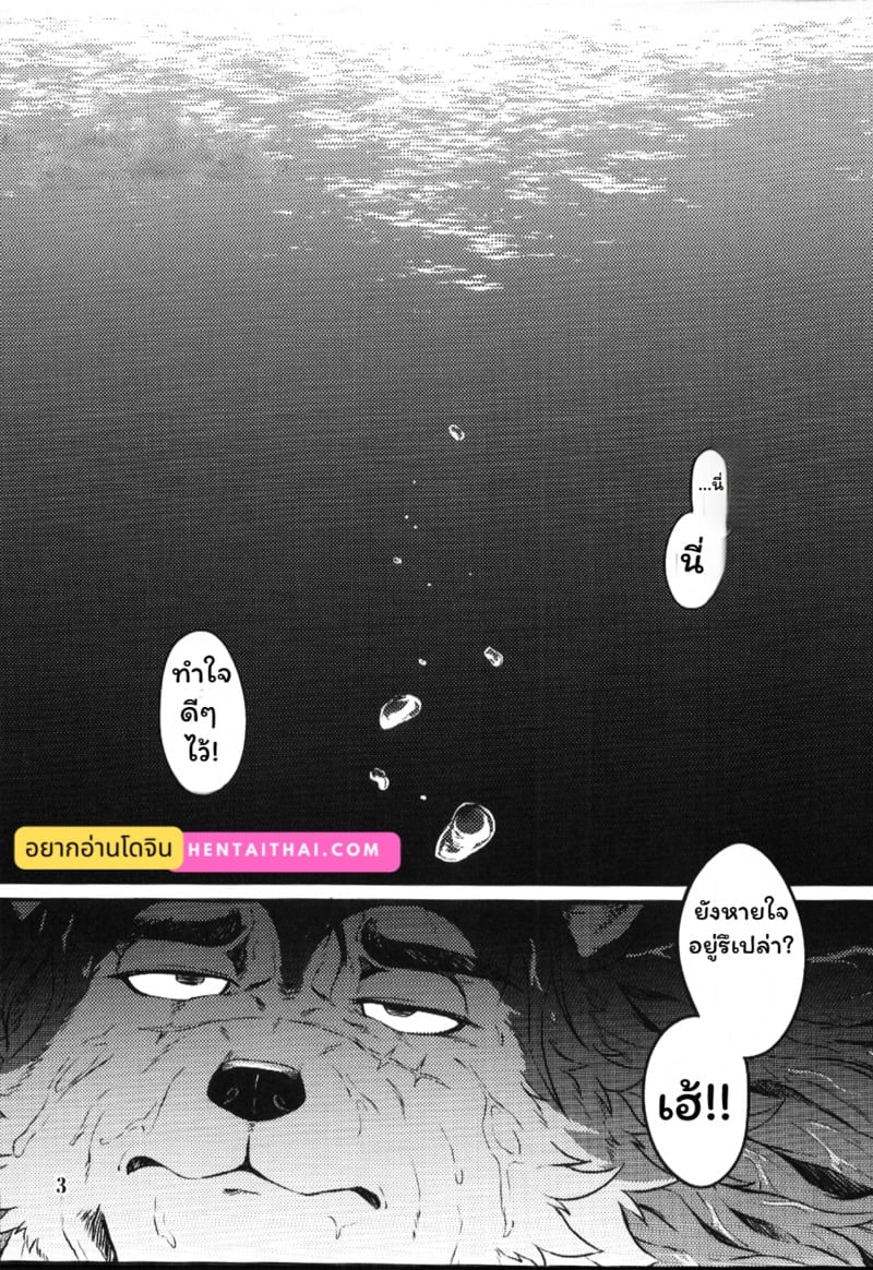 003.jpg