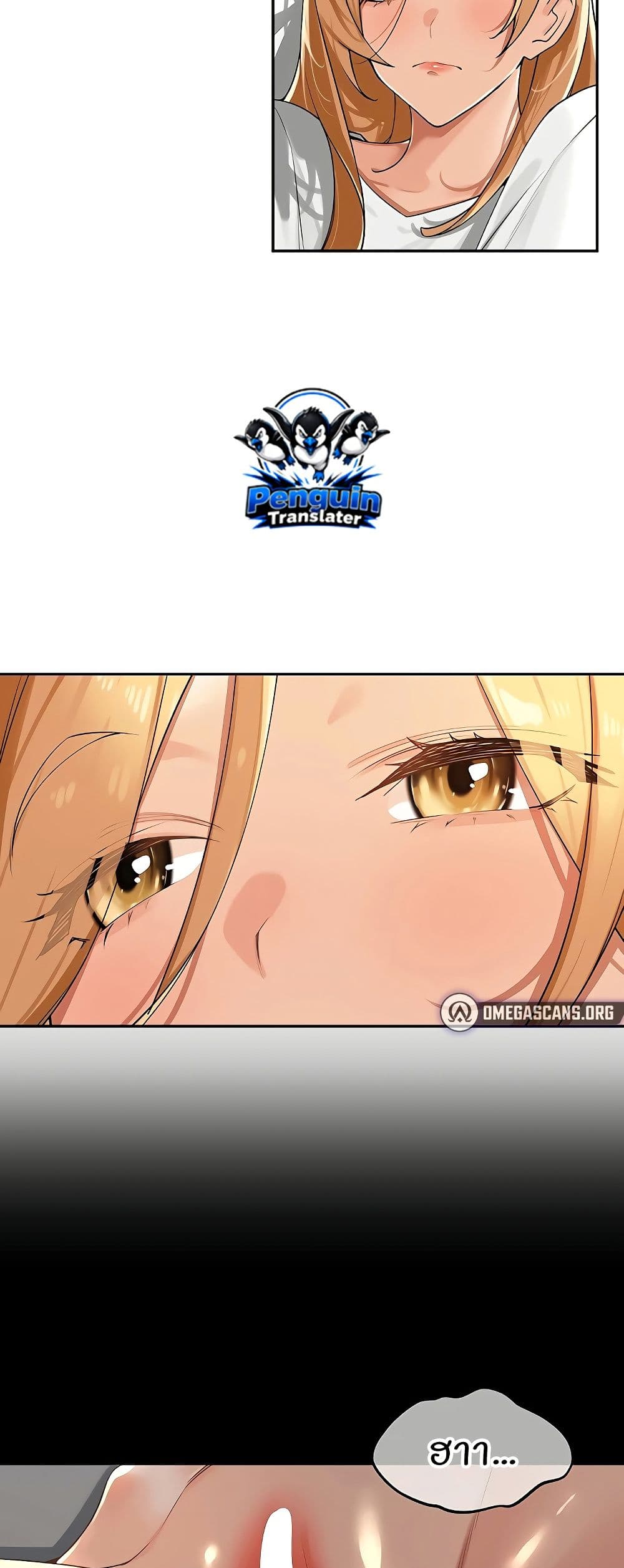 004.jpg