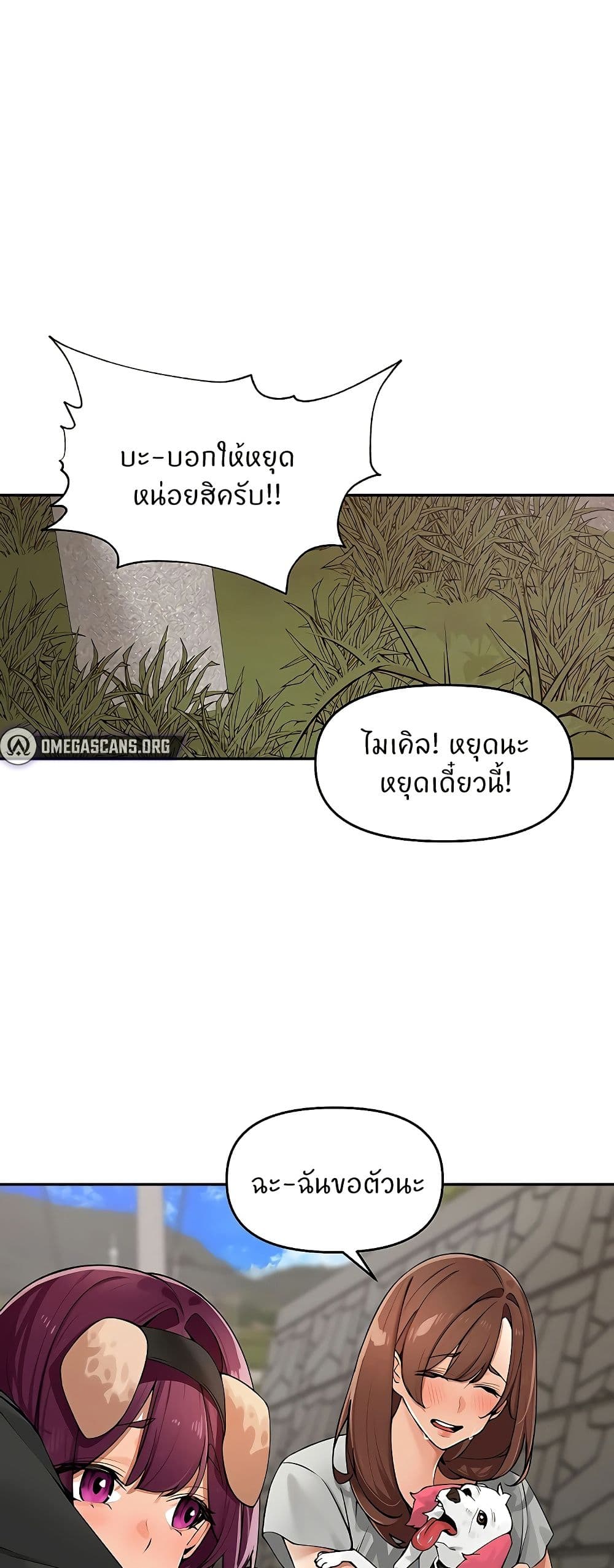 031.jpg