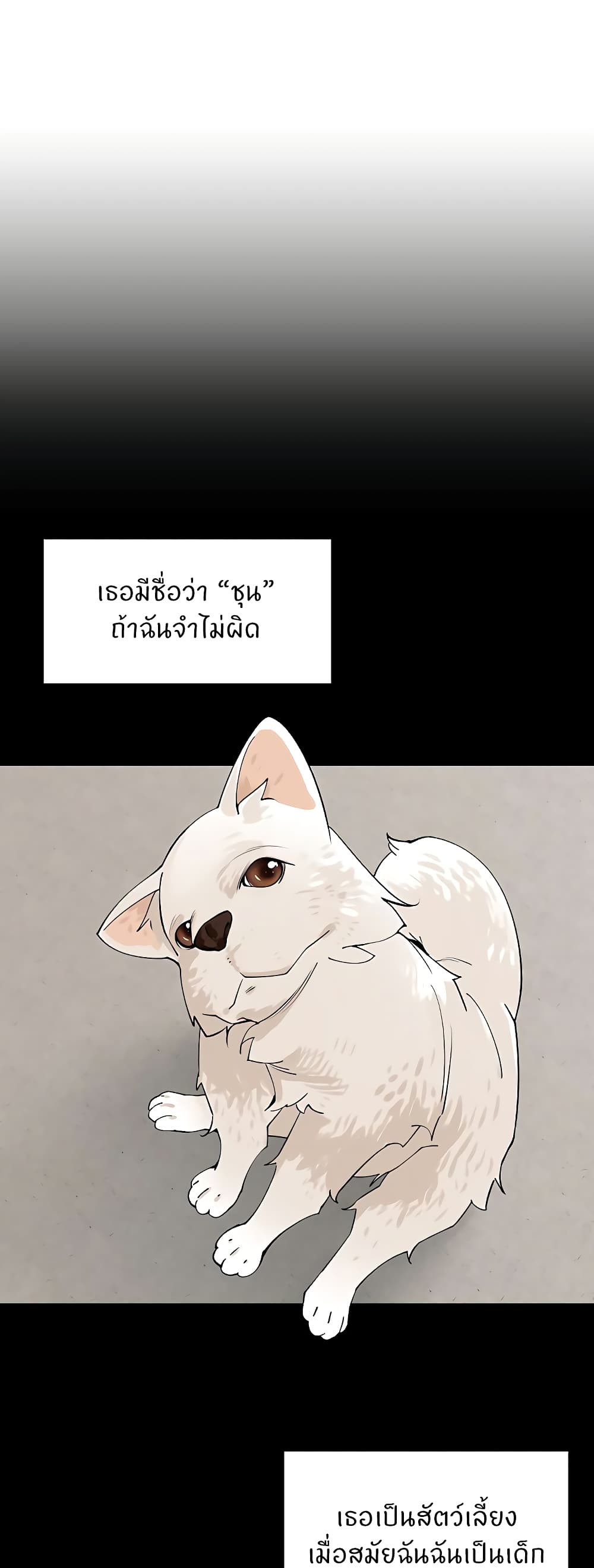006.jpg