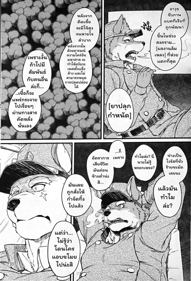 031.jpg