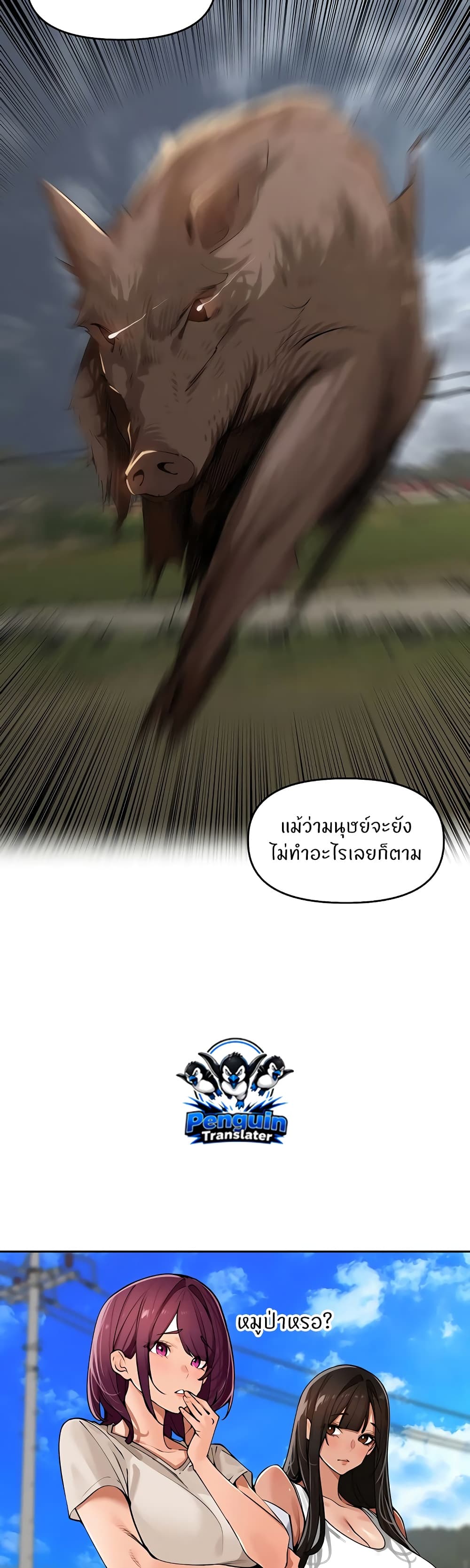 005.jpg