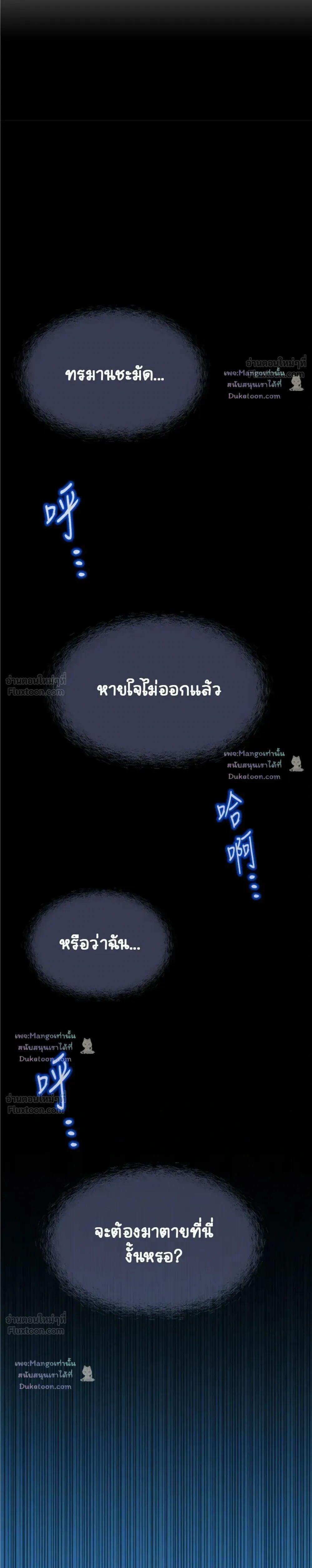 005.jpg