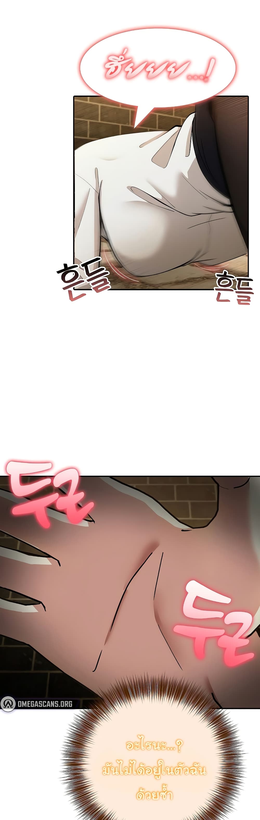 003.jpg
