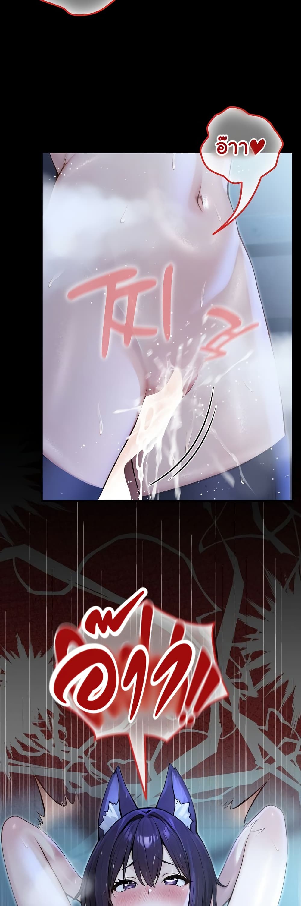 007.jpg