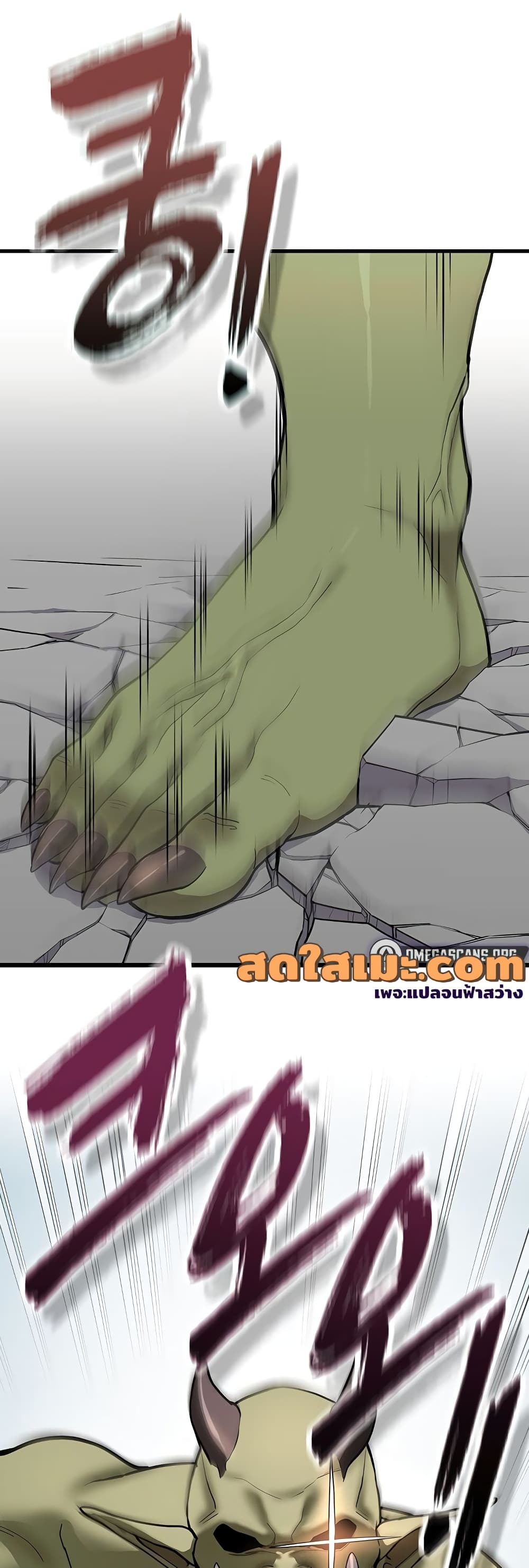 003.jpg