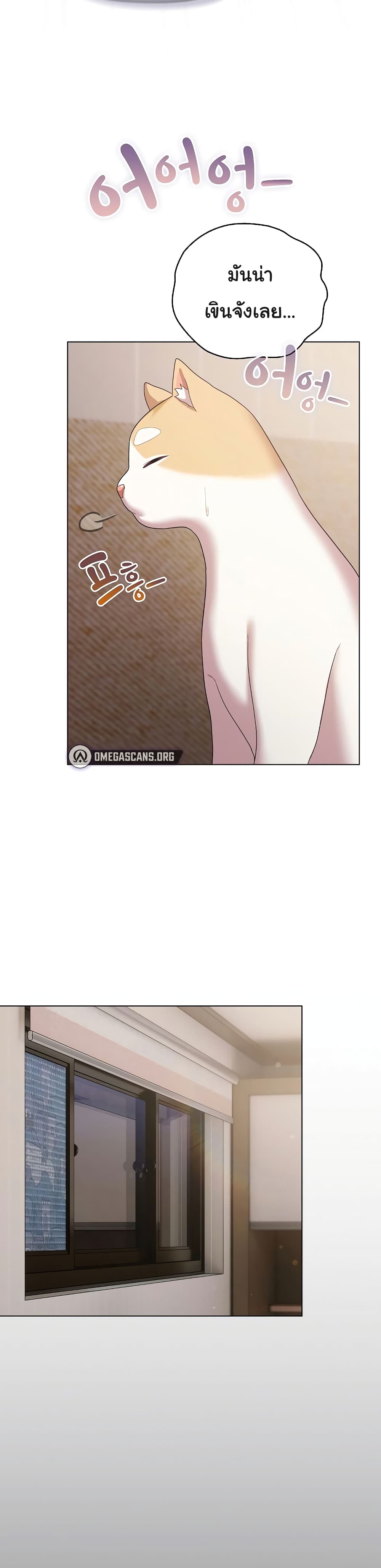 031.jpg