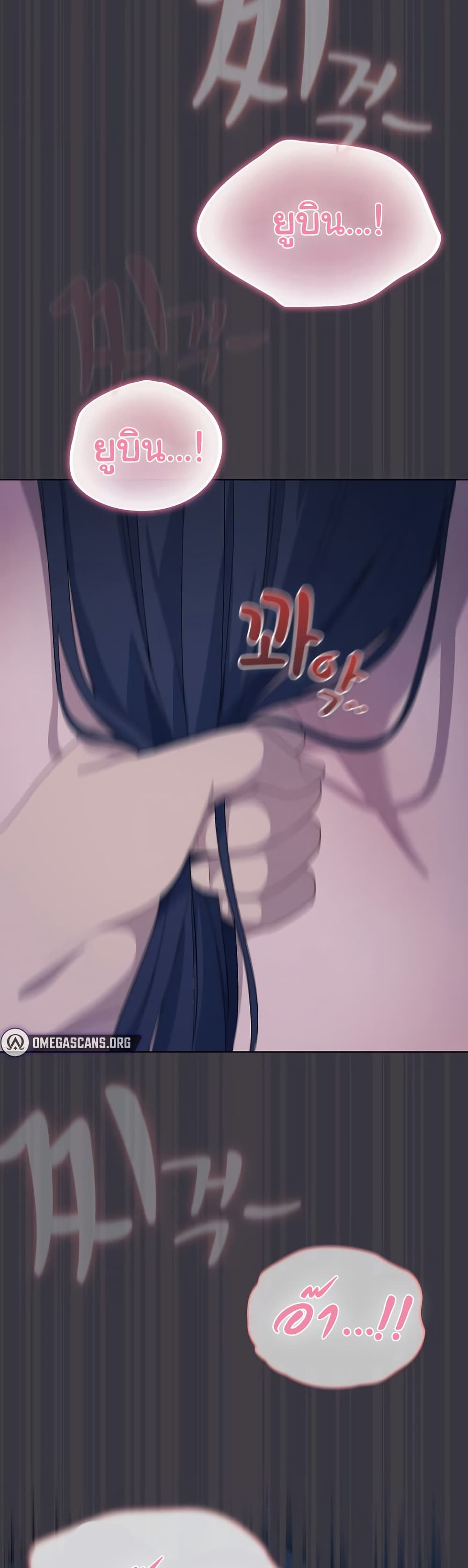 050.jpg