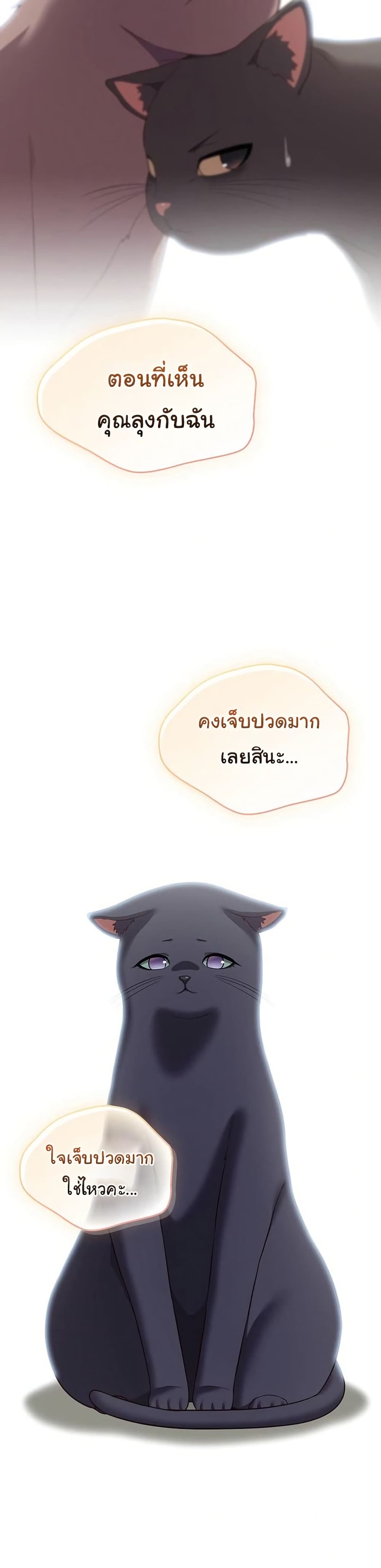 012.jpg