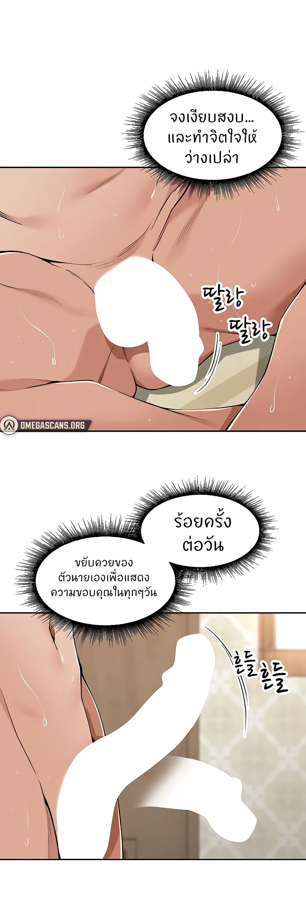 003.jpg