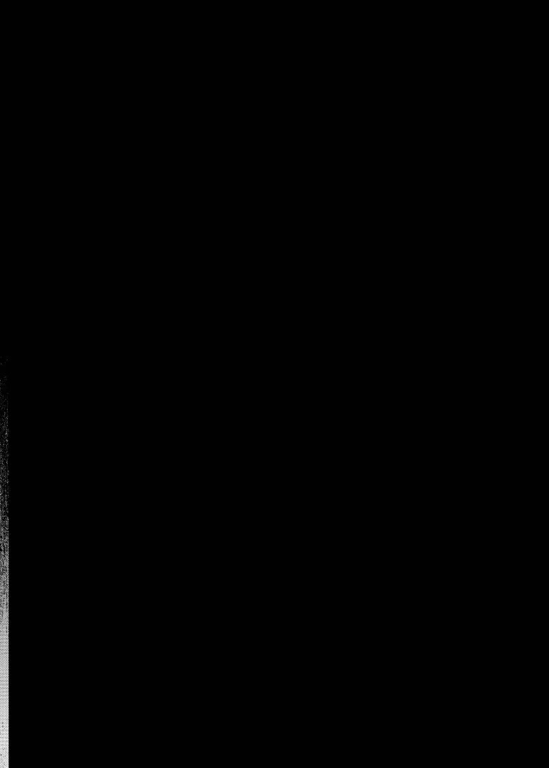041.jpg